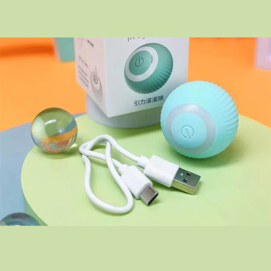 Pelota Interactiva para mascotas